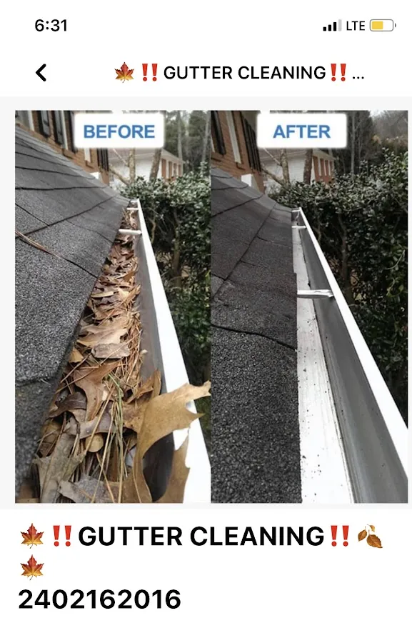 What Happens When Moss Starts Growing On Brick Exterior Walls